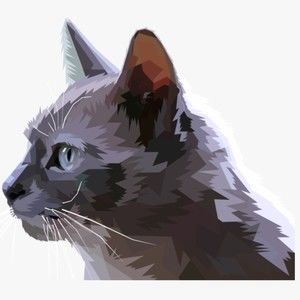 Meet your Posher, Happy